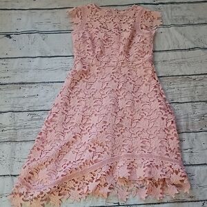Eliza J Blush Pink Lace Asymmetrical Sheath Dress 6